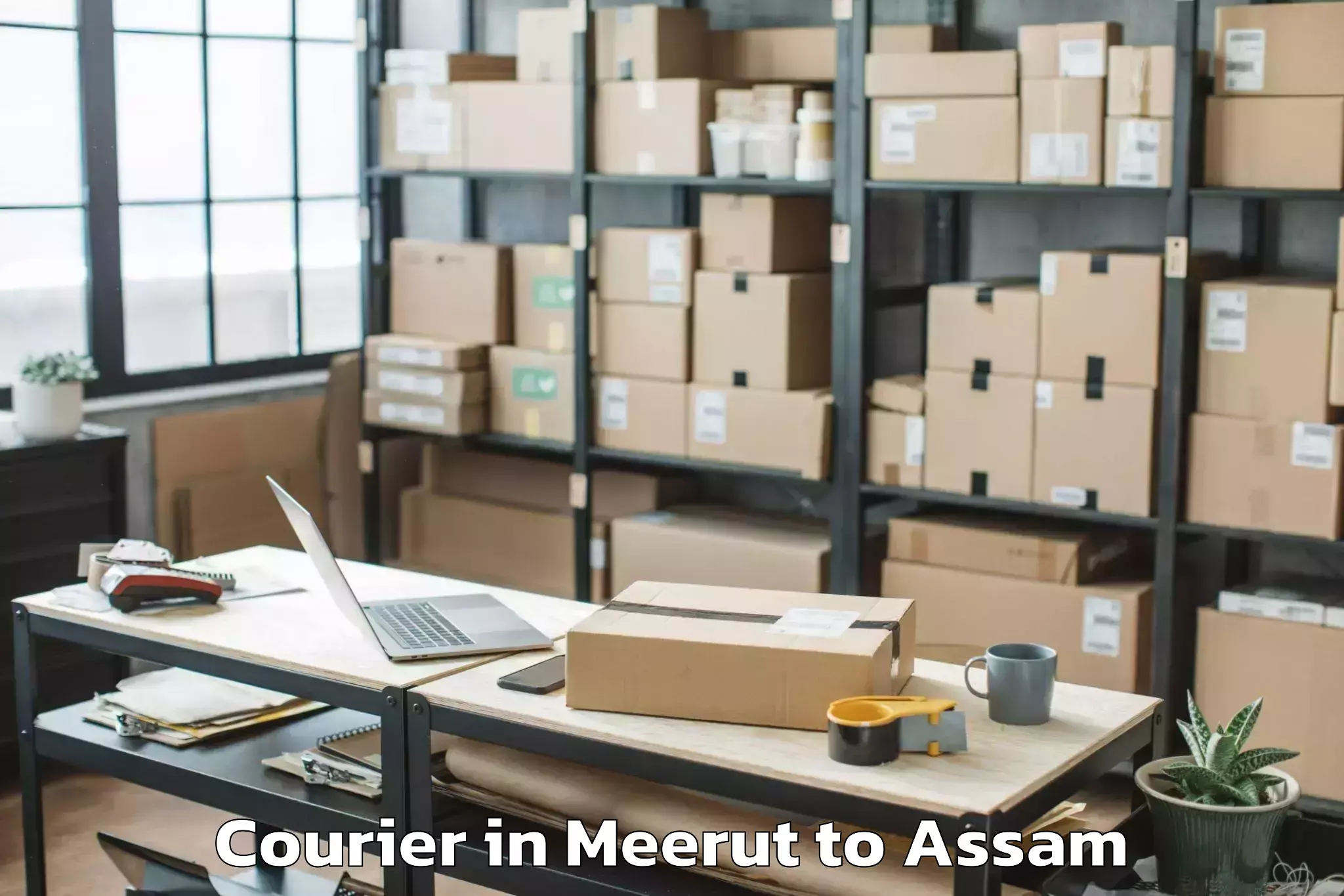 Expert Meerut to Puranigudam Courier